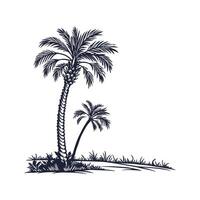 Mexican Fan Palm Tree Bold Outline for Unique Art vector