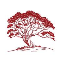 Moreton Bay Fig Tree Bold Outline for Unique Art vector