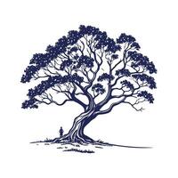 Charming Moreton Bay Fig Tree Outline for Design vector