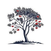 Mountain Ash Tree Bold Outline for Unique Art vector
