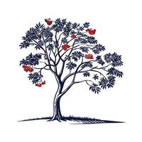 Charming Mountain Ash Tree Outline for Design vector