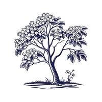 Northern Catalpa Tree Bold Outline for Unique Art vector