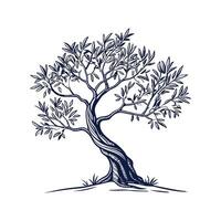 Charming Olive Tree Outline for Illustrative Use vector