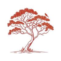 Stylish Pacific Madrone Tree Bold Outline Design vector