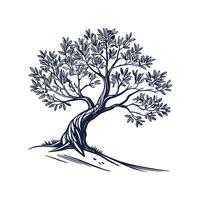 Stylish Olive Tree Bold Outline for Art vector