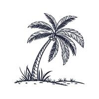 Palm Tree Bold Outline Design for Unique Art vector