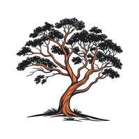 Pacific Madrone Tree Bold Outline for Unique Art vector