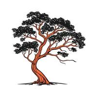 Charming Pacific Madrone Tree Outline for Design vector