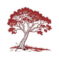 Paperbark Maple Tree Bold Outline for Unique Art vector