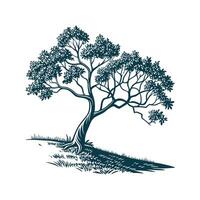 Pond Apple Tree Bold Outline for Unique Art vector