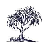 Charming Ponytail Palm Tree Outline for Design vector