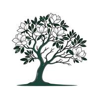 Charming Queen Magnolia Tree Outline for Art vector