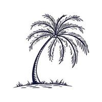 Queen Palm Tree Bold Outline for Unique Art vector