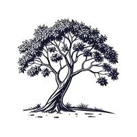 Charming Pond Apple Tree Outline for Illustrative Use vector