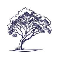 Queens Crape Myrtle Tree Bold Outline for Art vector
