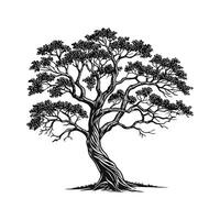Realistic African Blackwood Tree Bold Outline for Art vector