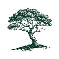 Charming African Olive Tree Outline for Design vector