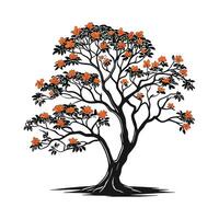 Charming African Tulip Tree Outline for Art vector