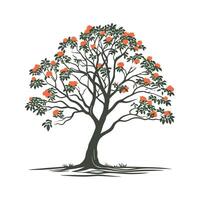 Realistic African Tulip Tree Bold Outline for Unique Art vector