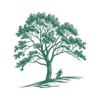 Charming American Linden Tree Outline for Design vector