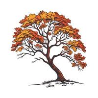 Realistic American Persimmon Tree Bold Outline for Unique Art vector