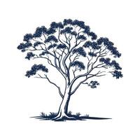 Charming Australian Blackwood Tree Outline for Design vector