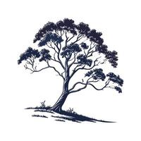 Stylish Australian Blackwood Tree Bold Outline Art vector