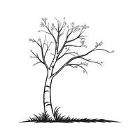 Charming Birch Tree Outline for Unique Art vector