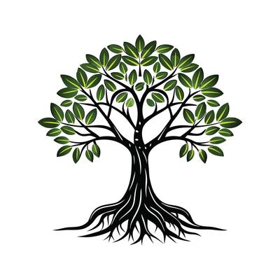 Realistic Black Mangrove Tree Bold Outline Design for Art
