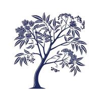 Realistic Blue Elderberry Tree Bold Outline for Unique Art vector