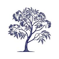 Stylish Blue Elderberry Tree Bold Outline Design vector