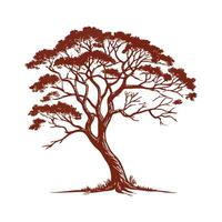 Charming Brazilian Rosewood Tree Outline for Design vector