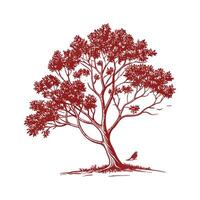 Realistic Carolina Cherry Laurel Tree Bold Outline for Art vector