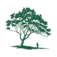 Charming Carolina Cherry Laurel Tree Outline for Design vector