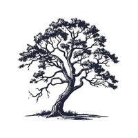 Stylish Corkwood Tree Bold Outline Art vector