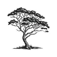 Charming Devils Walking Stick Tree Outline for Design vector