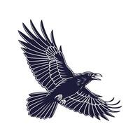 Realistic Crow in Flight Bold Outline for Art vector