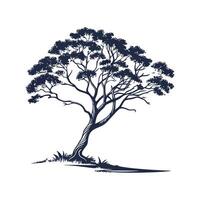Realistic Devils Walking Stick Tree Bold Outline for Art vector