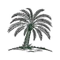 Charming Dwarf Date Palm Tree Outline for Design vector