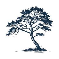 Charming Eastern White Cedar Tree Outline for Design vector