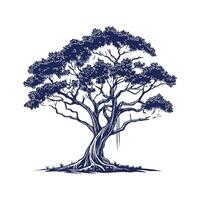 Realistic Florida Strangler Fig Tree Bold Outline for Unique Art vector