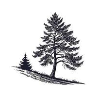 Charming Himalayan Fir Tree Outline for Design vector