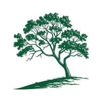 Stylish Indian Bael Tree Bold Outline Art vector