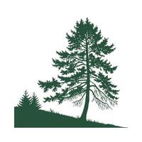 Realistic Himalayan Fir Tree Bold Outline for Unique Art vector