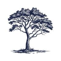 Realistic Indian Cork Tree Bold Outline for Unique Art vector