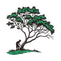 Realistic Indian Jujube Tree Bold Outline for Unique Art vector