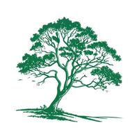 Realistic Himalayan Yew Tree Bold Outline for Unique Art vector