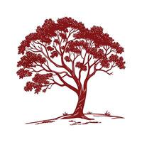 Charming Indian Red Sandalwood Tree Outline for Art vector