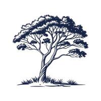 Charming Indian Sissoo Tree Outline for Design vector