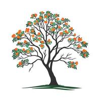 Charming Indian Tulip Tree Outline for Design vector